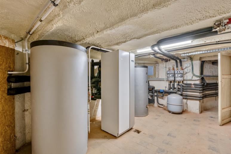 20260120 Markt 38  2800 Mol 15